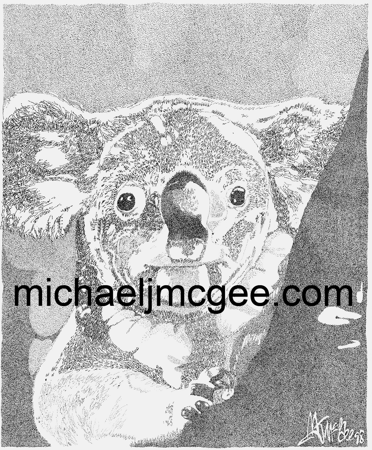 Koala / michaeljmcgee.com