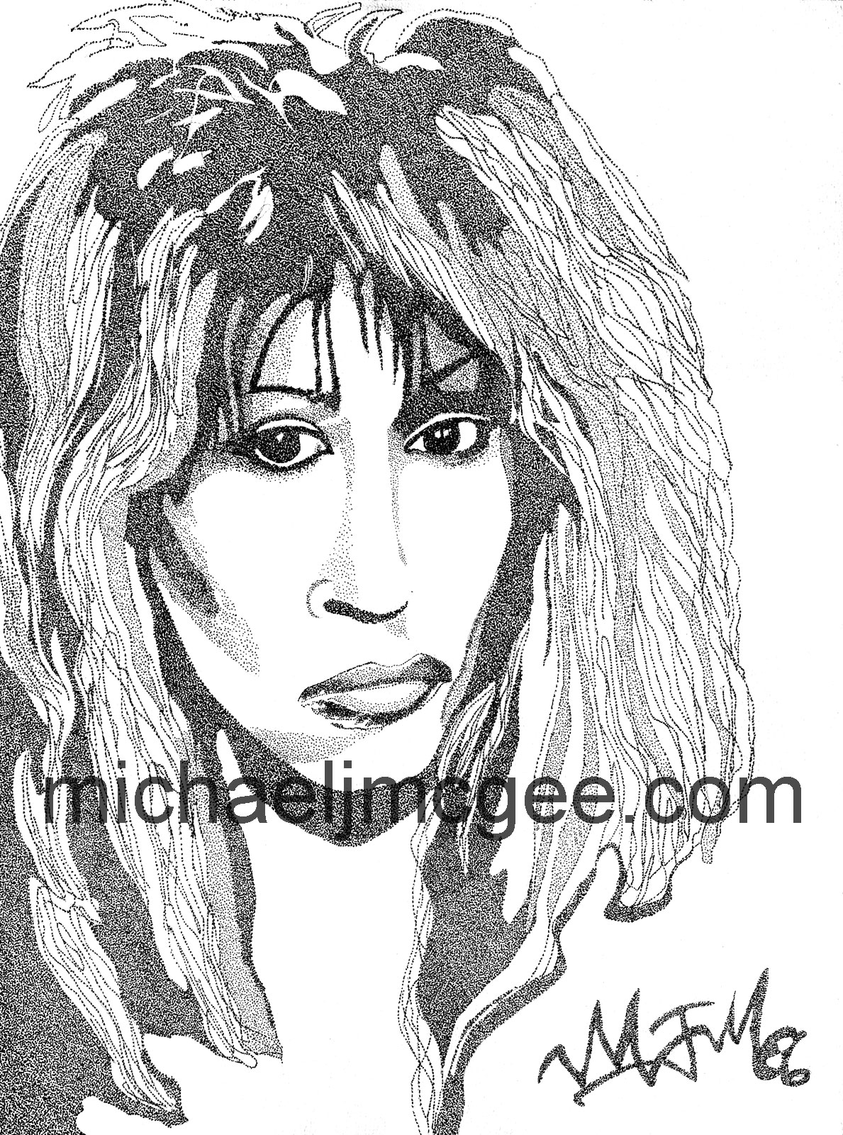 Tina Turner / MJM Artworks / michaeljmcgee.com