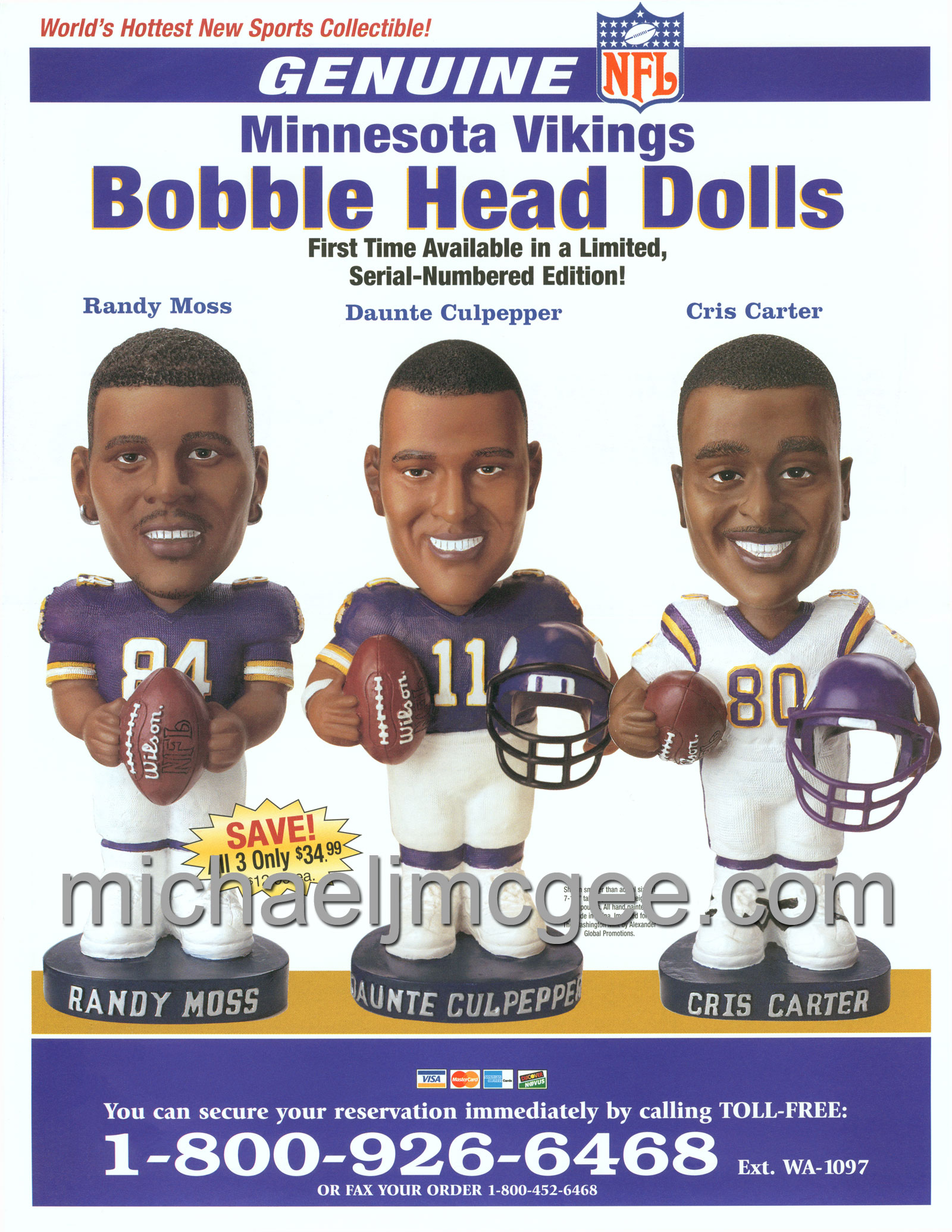 michaeljmcgee.com's Vikings stuff / michaeljmcgee.com