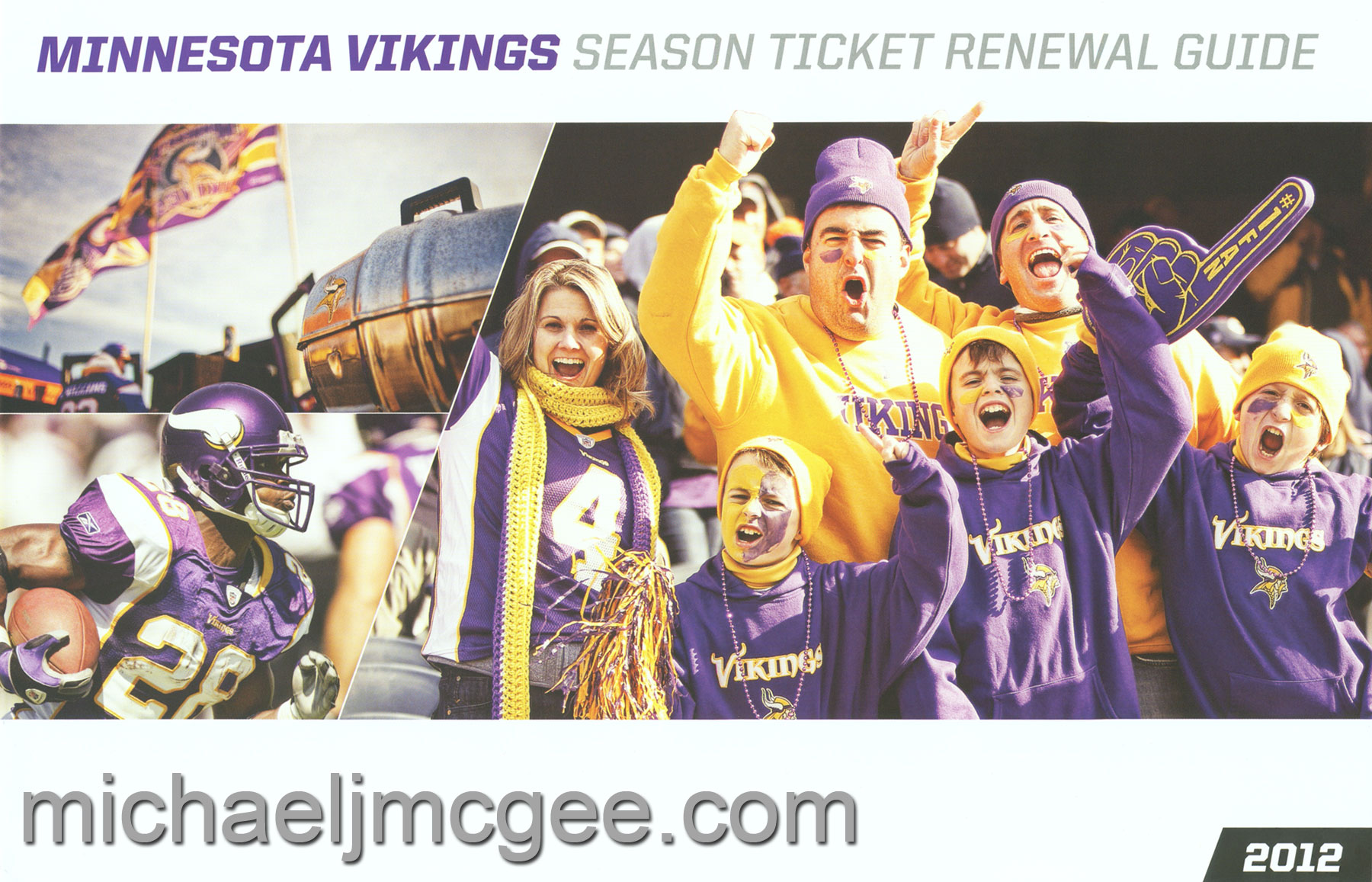 michaeljmcgee.com's Vikings stuff / michaeljmcgee.com