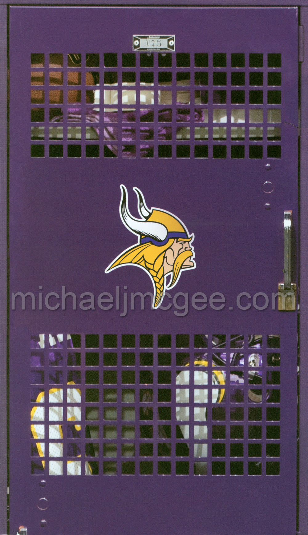 michaeljmcgee.com's Vikings stuff / michaeljmcgee.com